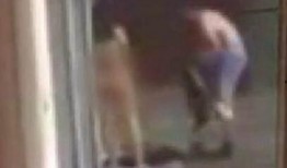 女生啪视频在线观看