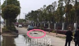 涵江梧塘新闻爆料,突发事件引发关注，详情即将揭晓